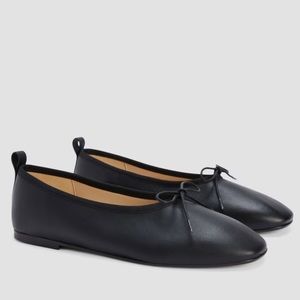Everlane The Day Ballet Flat